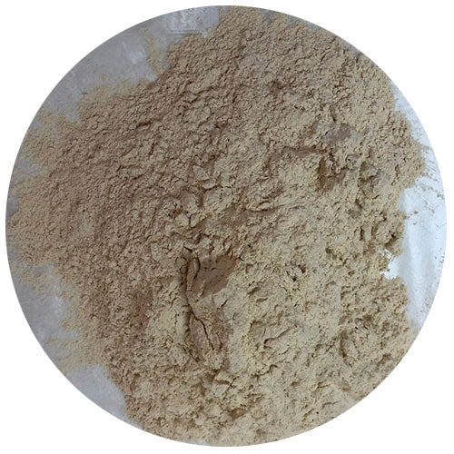 Garlic Powder 500g