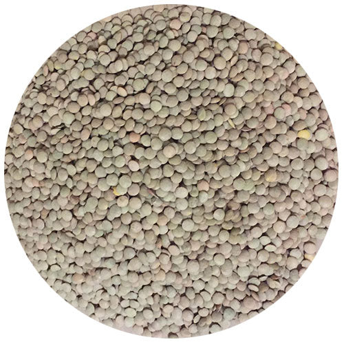 Green Lentils 1kg